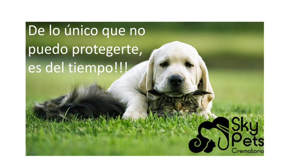 Funeraria Crematorio de Mascotas Sky Pets